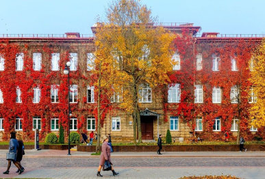 Осеннее свидание с Гродно (2 дня)