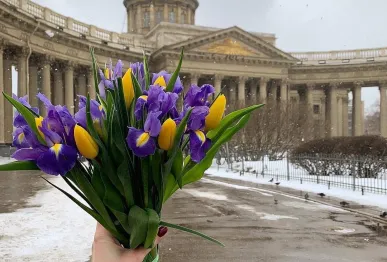 Тур в Петербург для благородных девиц