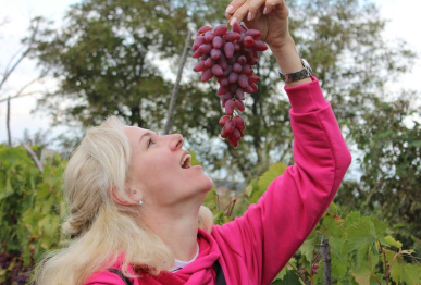 гастрономический тур в Грузию