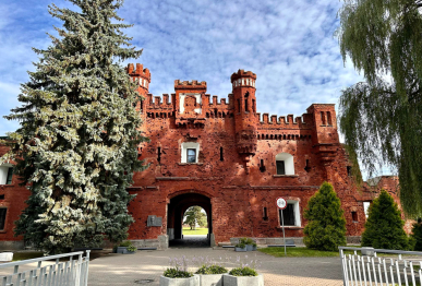 Брест - Беловежская пуща