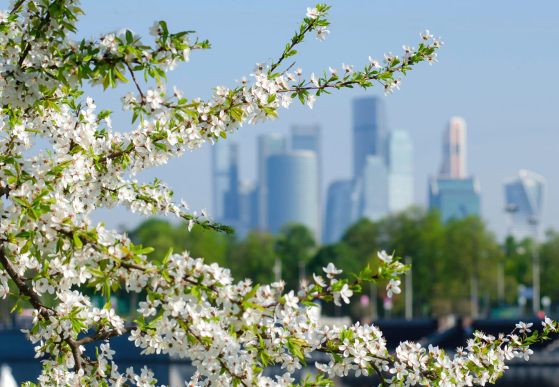 Тур в Москву для милых дам