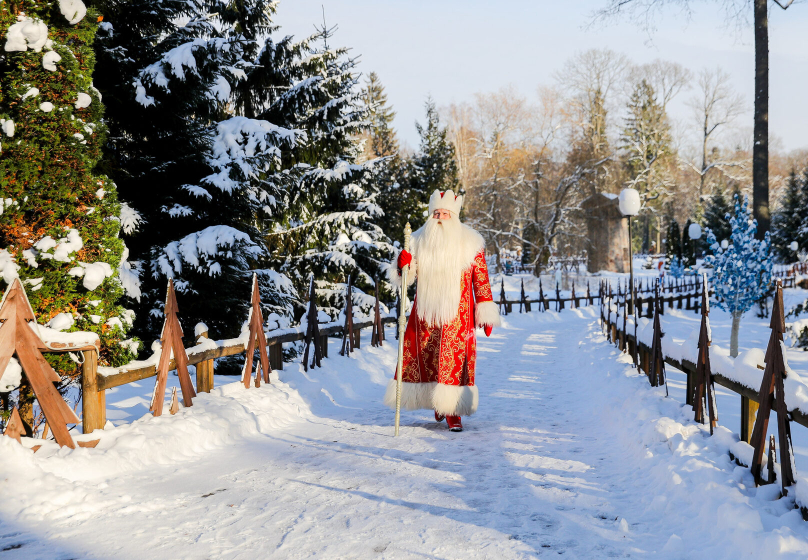 К Деду Морозу в  Беловежскую пущу